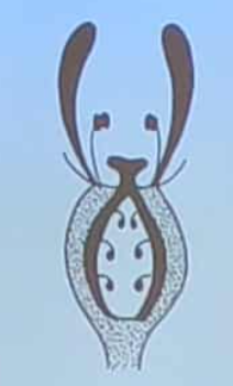 <p>umieszczenie słupka na dnie kwiatowym</p>