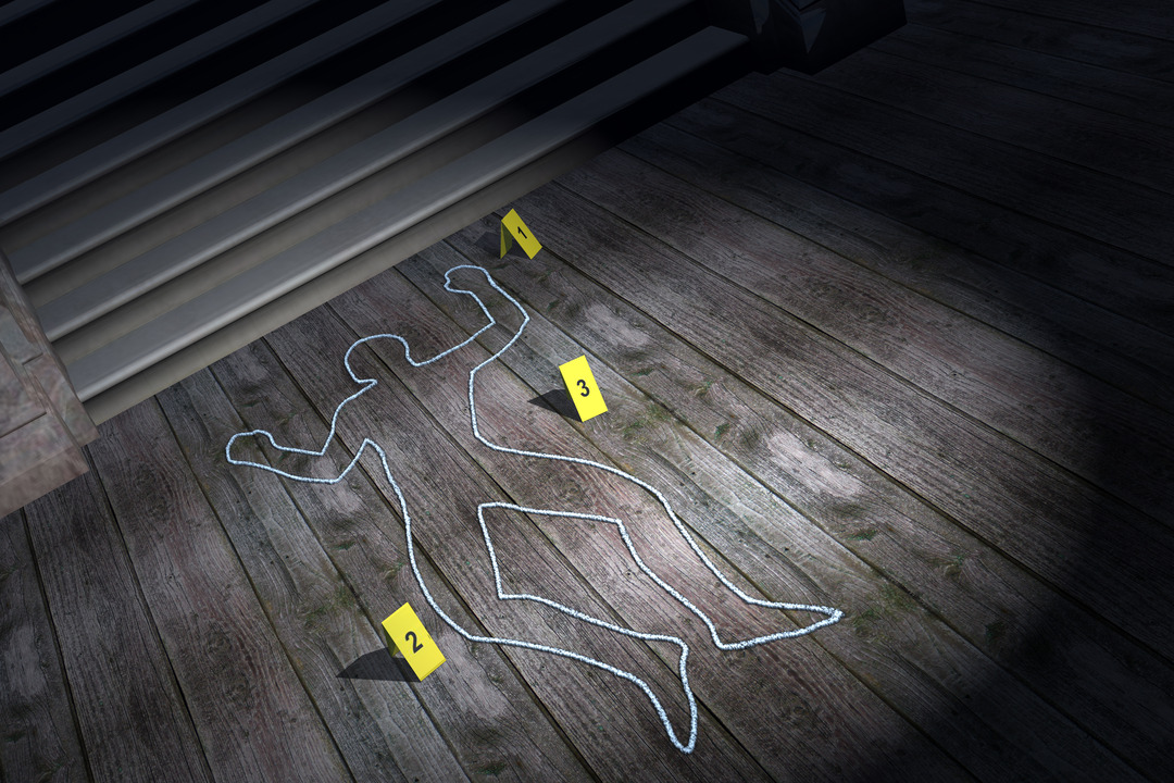 <p>Murder</p>