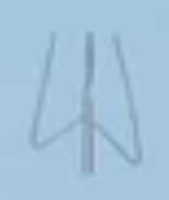 <p>jaki kształt nasady blaszki liściowej </p>