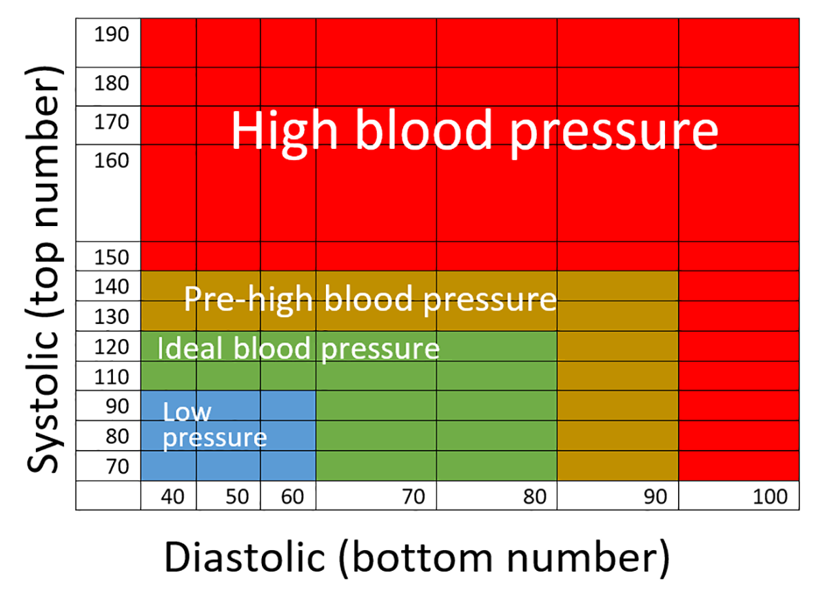 <p>A typical blood pressure reading for a young adult is <strong>120/80 mmHg</strong>.</p>