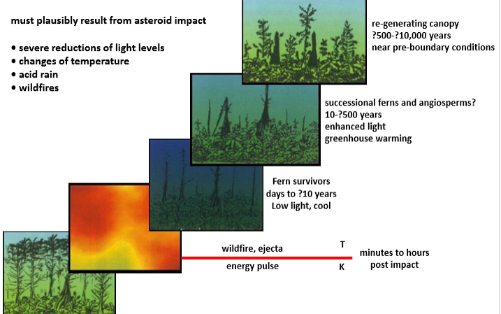 <p>Plausible result from asteroid impact</p><ul><li><p>sever reductions of light levels</p></li><li><p>changes of temperature</p></li><li><p>acid rain</p></li><li><p>wildfires</p></li></ul><p>Lots of combos</p><p></p>