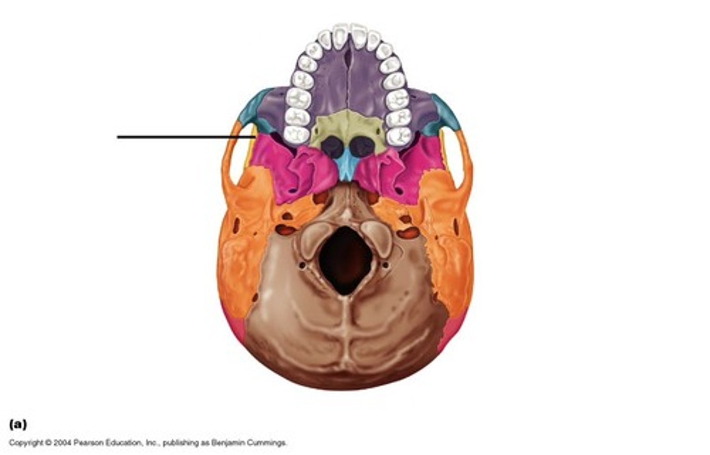 knowt flashcard image