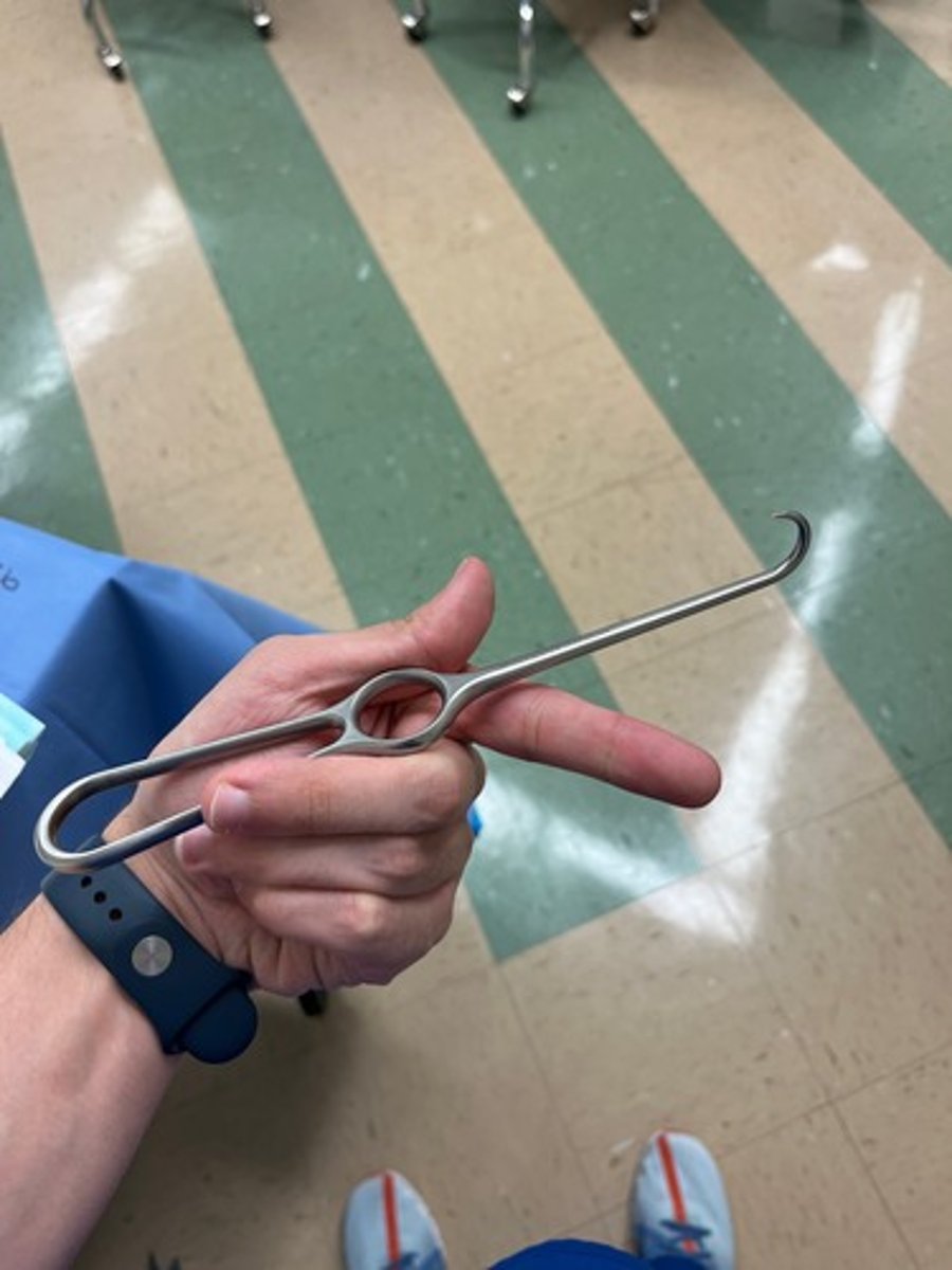 <p>to grasp bone in order to apply traction during orthopedic surgery (handheld)</p>