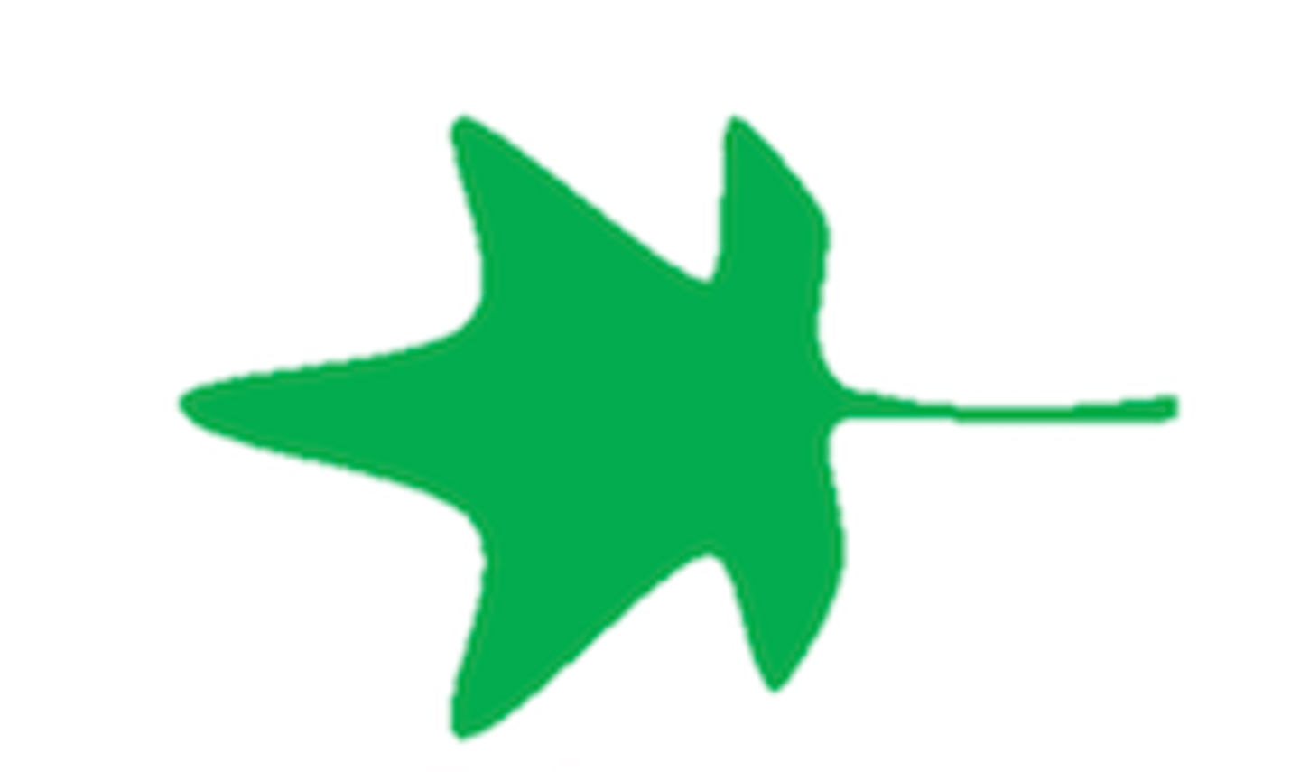 <p>What shape is this leaf?</p>