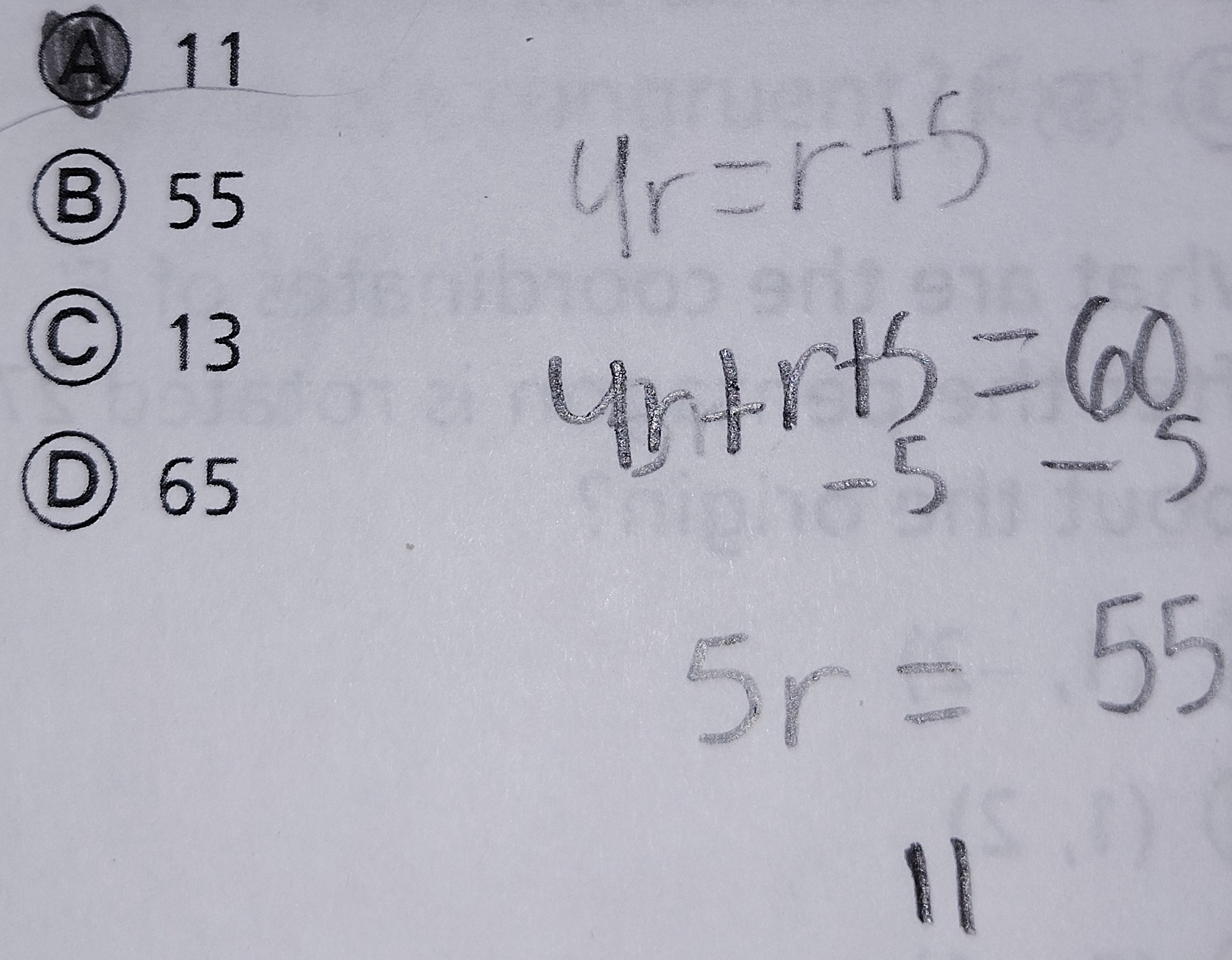 <p>11</p>