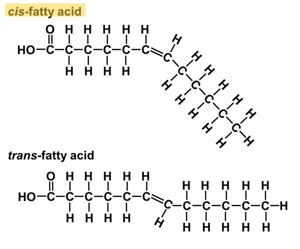 <ul><li><p>Double covalent bond creates <u>more kinks</u> in structure </p></li><li><p>Liquid at room temp</p></li><li><p>ex) cooking oil (causes less heart problems)</p></li></ul><p></p>