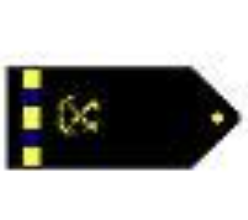 <p>One gold 1/2-inch stripe with two blue breaks outboard a specialty insignia</p>