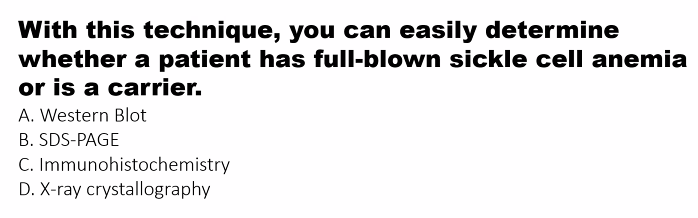 <p>B) </p>