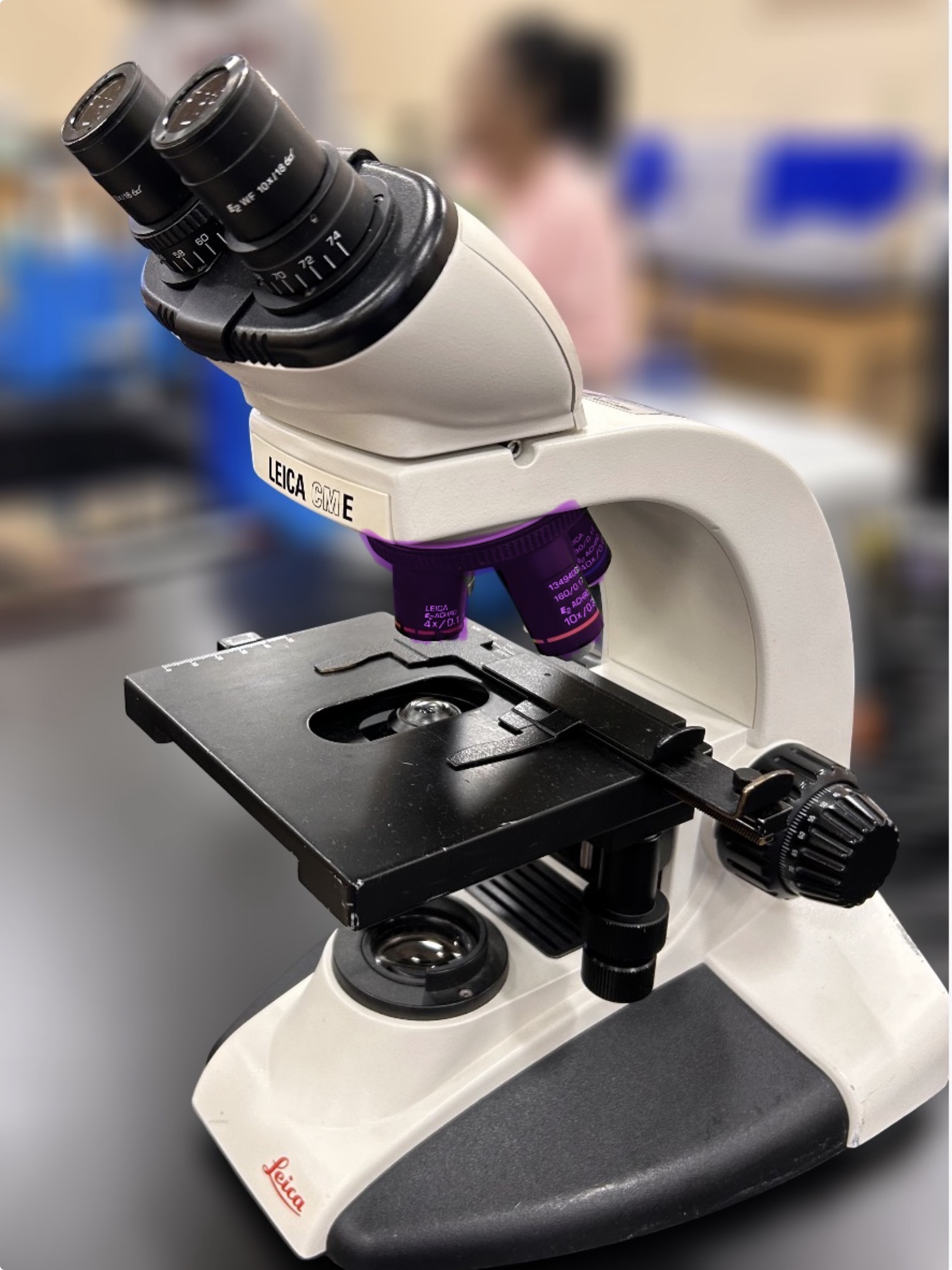 <p>Name the highlighted region.</p><p>Hint: the microscope lens that first produces magnification of the specimen in a compound microscope </p>