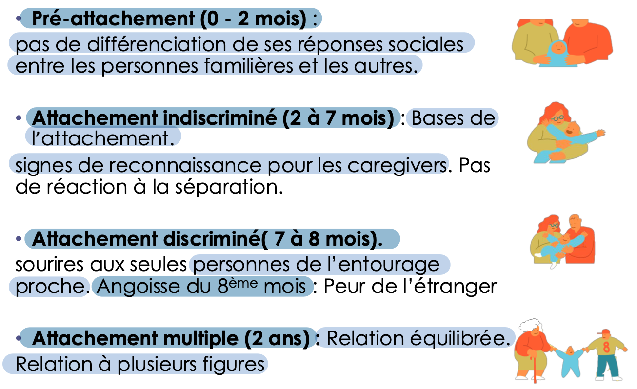 <ul><li><p>Théorie de l'attachement développée par John Bowlby, suggérant que les liens affectifs entre l'enfant et ses figures parentales influencent son développement émotionnel et social</p></li><li><p>4 phases d’attachement </p></li></ul><p></p>