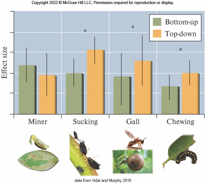 <p>The results of a meta-analysis of tri-trophic studies about controls on the trophic structure showed that <em>blank​</em>.</p><p>both top-down and bottom-up effects were important</p><p>there were no cases where bottom-up effects were more important than top-down effects</p><p>sucking insects were not influenced by top-down effects</p><p>top-down effects were more important for most of the animal groups studied</p>