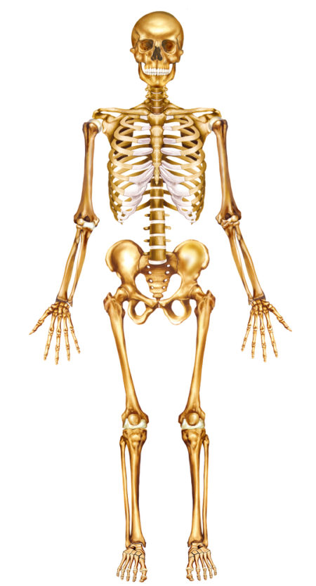 <p>What position is this?</p>