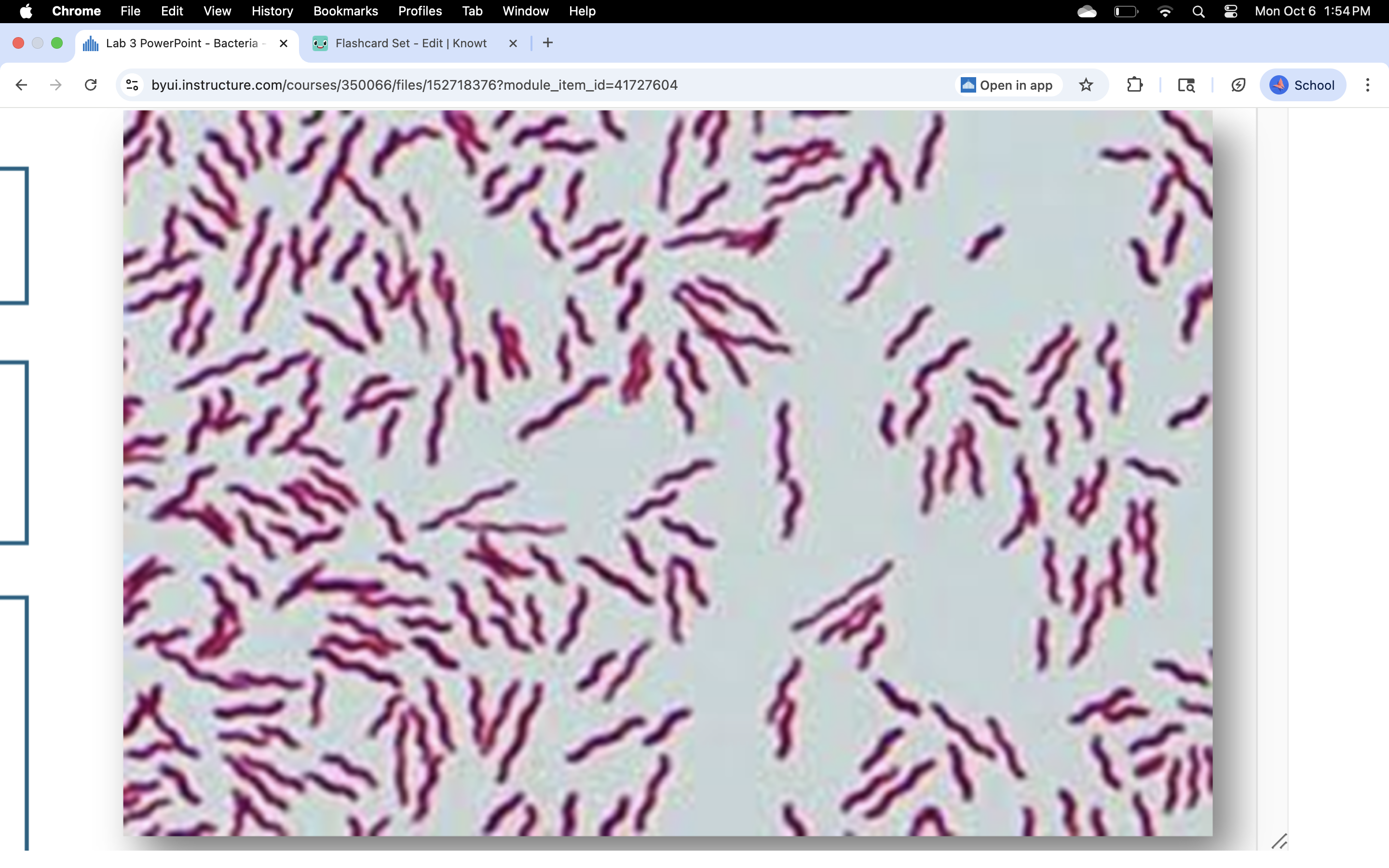 knowt flashcard image