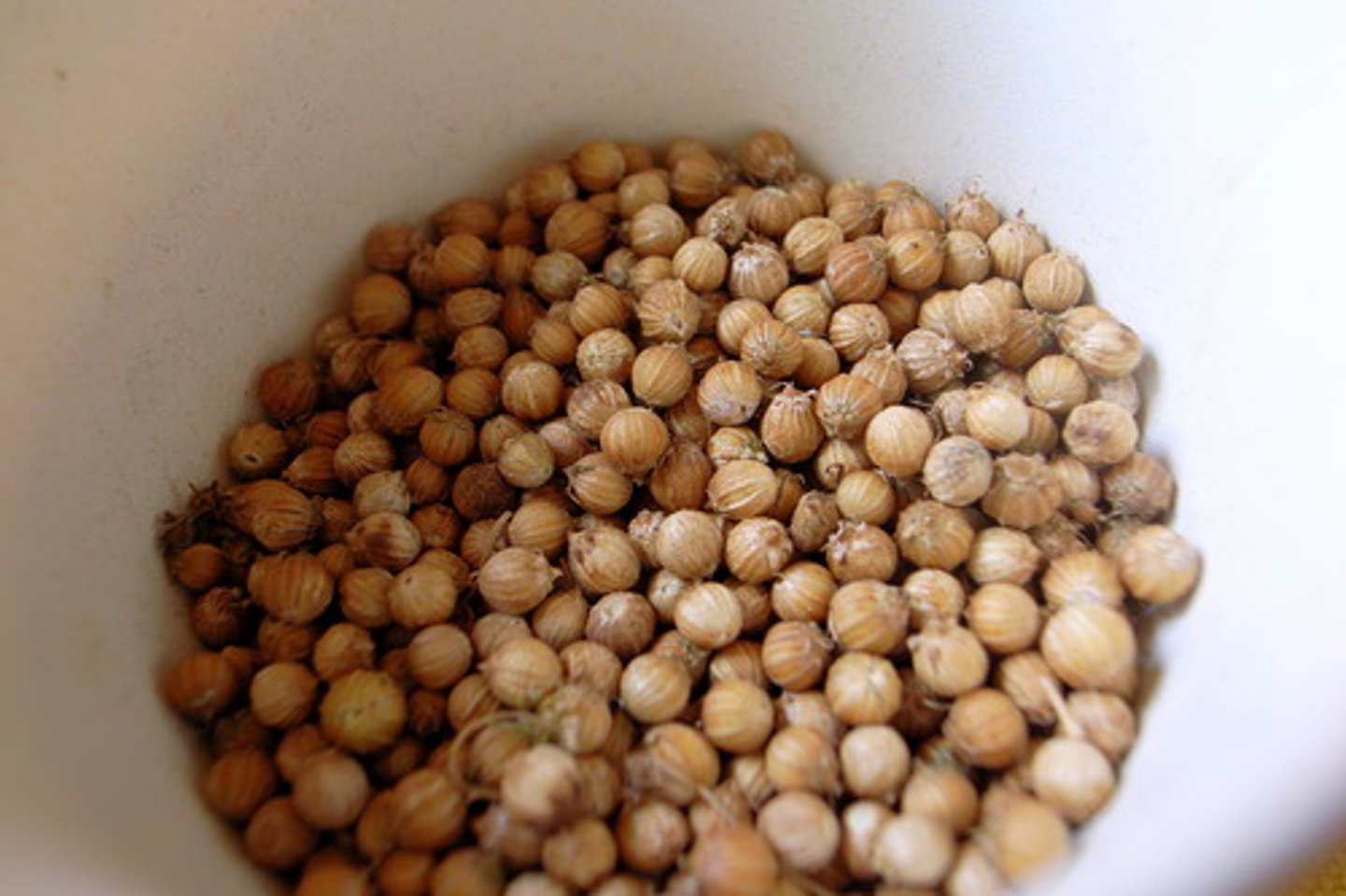 <p>Love and Lust, luck, fidelity, against illness.</p>