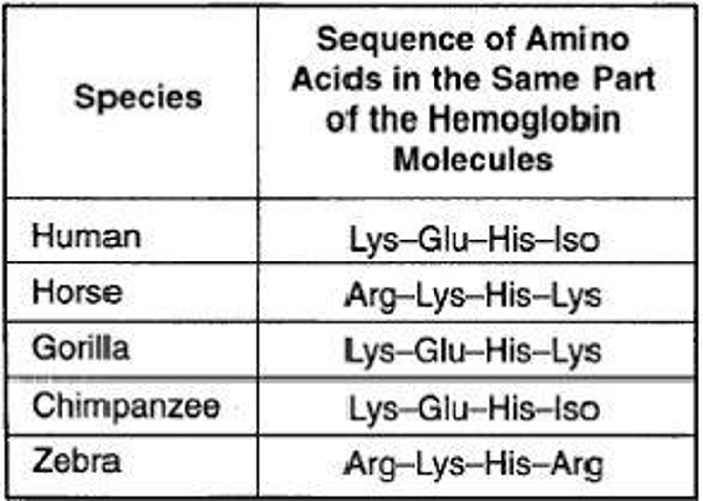 <p>The comparison of DNA sequences among species to determine relatedness.</p>