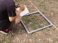 Using a known small area at random to count organisms within that area. The number of organisms within that area can give an approximate estimate of the population of that particular species in a larger area.