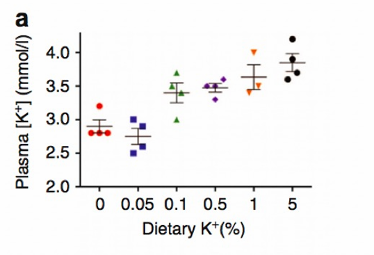 <p>-dietary K</p>