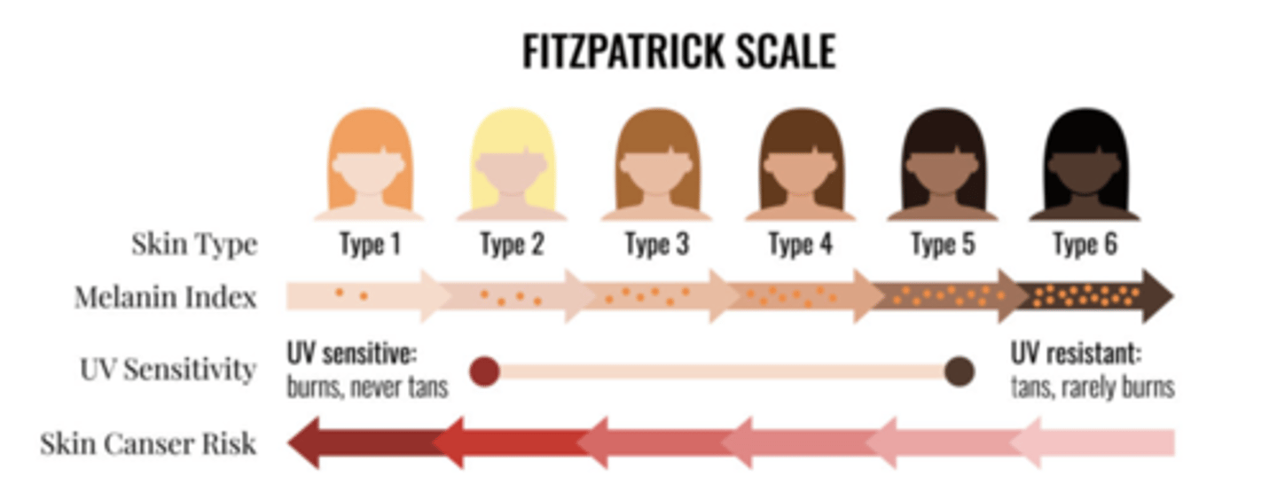<p>- Family history </p><p>- previous history of skin cancer</p><p>- Pale skin/light hair (always burns, never tans phenotype - Fitzpatrick type I or II skin)</p><p>- High levels of sun or UV exposure </p><p>- Immunosuppression</p><p>- Chronic inflammation, for example at the site of a burn</p><p>- Old age </p><p>- male sex</p>