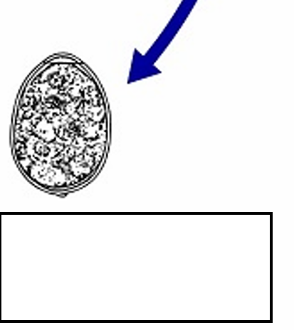 <p>Diagnostic Stage </p>