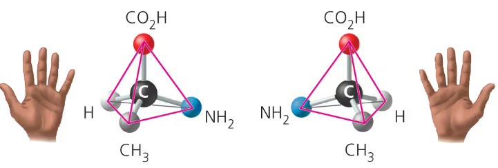 <ul><li><p>differ in spatial arrangement around an asymmetric carbon- mirror images, like left and right hands</p></li><li><p>cannot be superimposed on each other</p></li></ul><p></p>