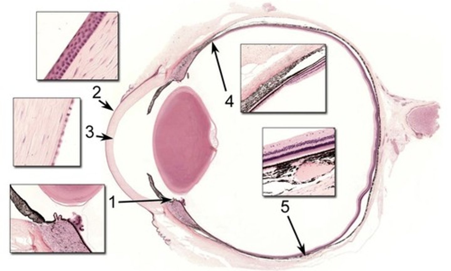 <p>1</p>