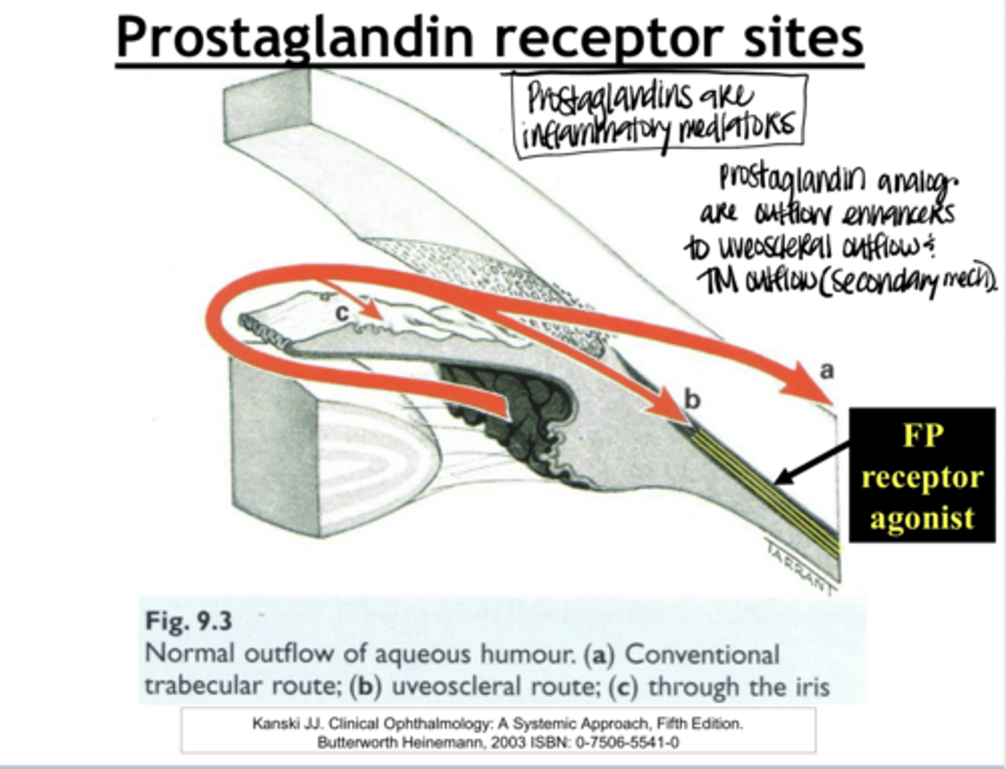 <p>Are prostaglandins inflammatory mediators? Do they invoke inflammation?</p>