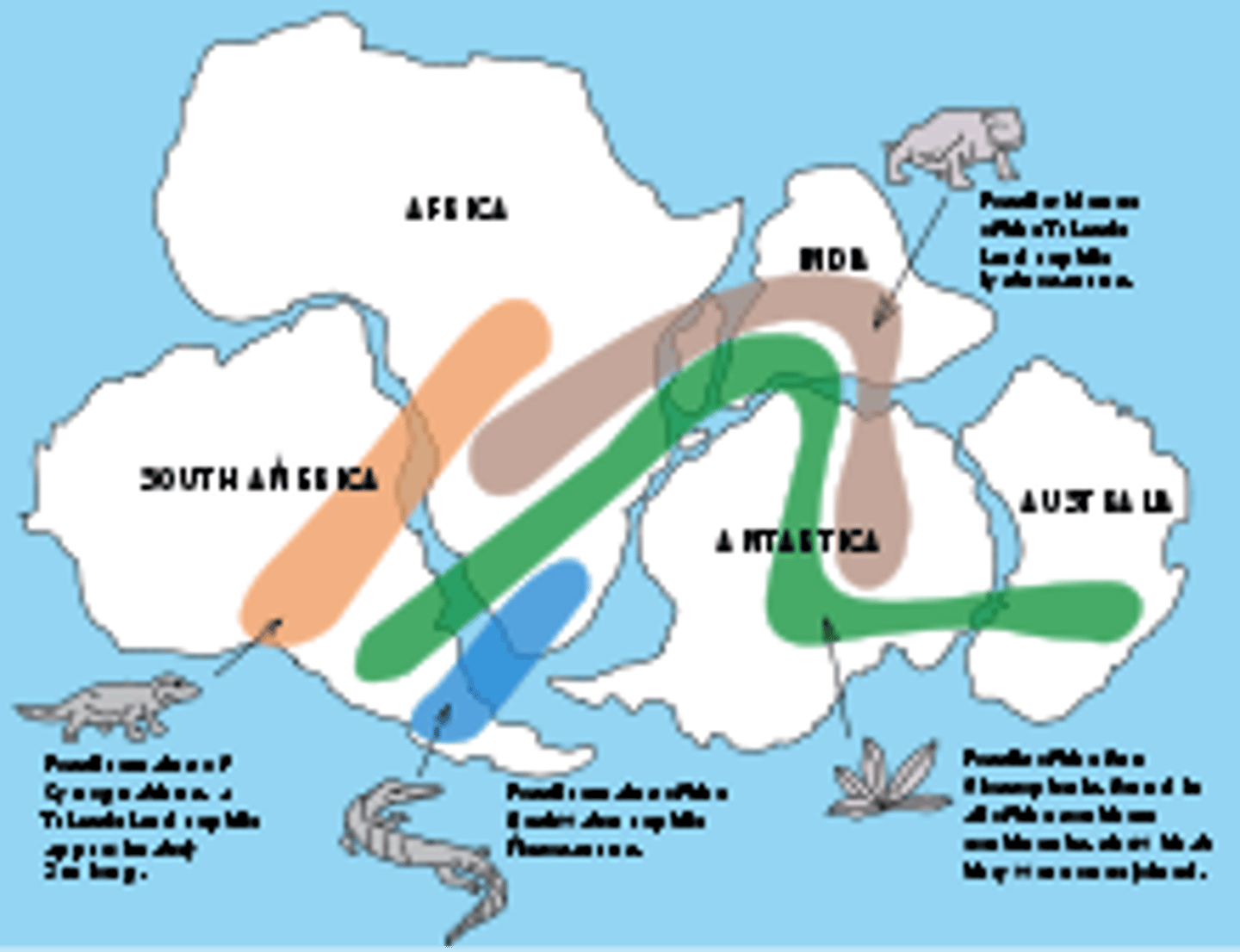 <p>-Fossils have been found on separate continents, suggesting the continents were once joined.</p><p>-If continental drift has not occurred alternative explanations would be:</p><p>1. the species evolved individually on separate continents, contradicting Darwin's theory of evolution</p><p>2. They swam to the other continents in breeding pairs to establish a second population (what about plants?)</p>