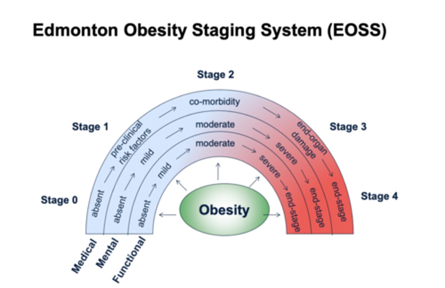 <p>classes obesity based in morbidity and functional limitations</p><p>- stage 0-4 with 4 being end stage for medical, mental, and functional complications</p><p>- used to predict risks and benefits for obesity management</p>