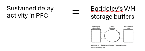 <ul><li><p>suggests that this PFC reflects the neuronal instantiation of Baddeley’s working memory storage buffers </p></li><li><p>sustained activation in PFC during delay period of a WM task reflects a neuronal WM template </p><ul><li><p>a temporary representation of to-be-remembered information </p></li></ul></li><li><p>became dominate view of the PFC in working memory for some time </p></li></ul><p></p>