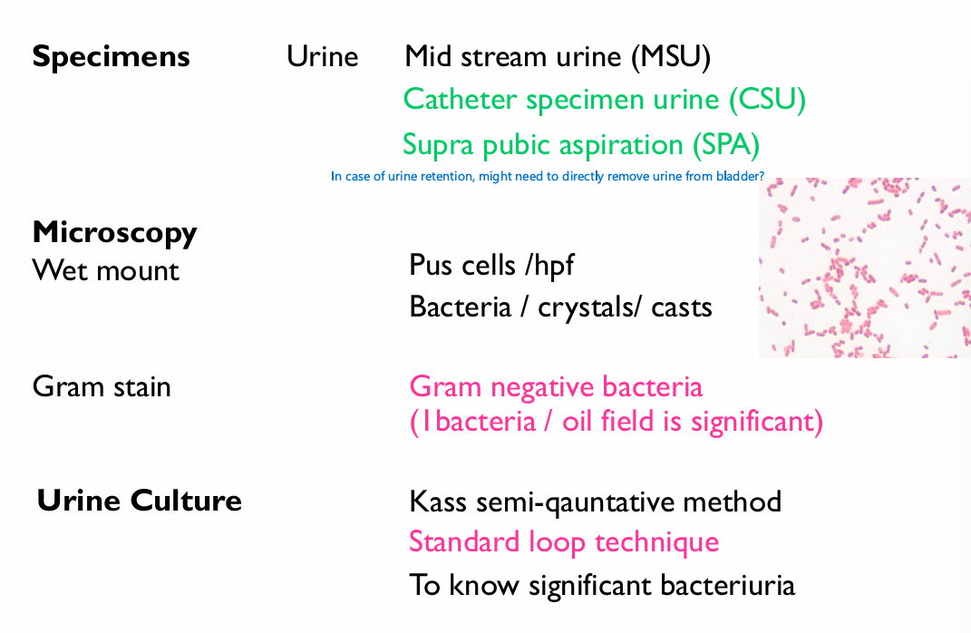 <p>Review this slide later</p>
