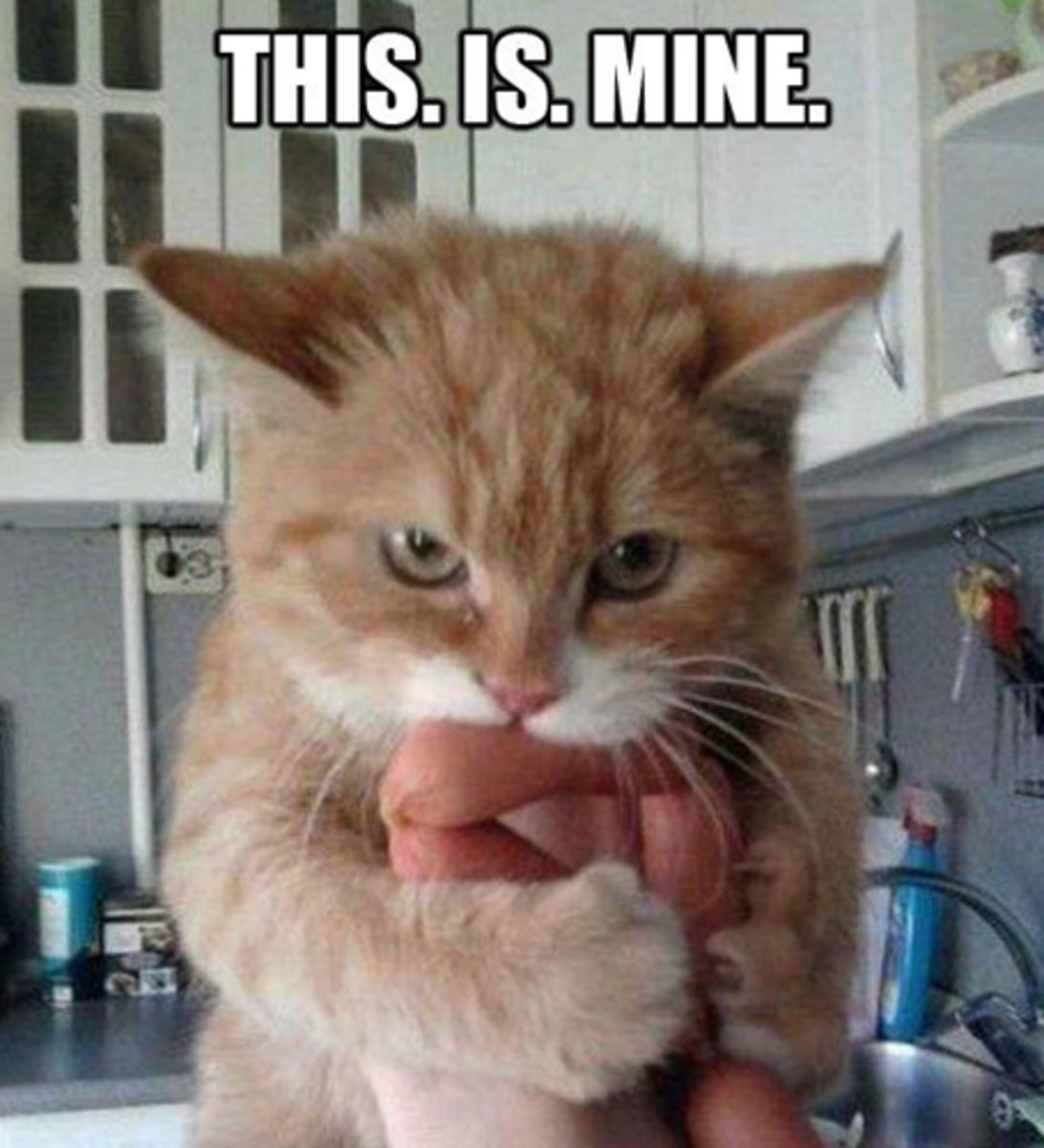 <p>/tʊk pəˈzɛʃən əv/ tiếp quản, nắm giữ tài sản</p>