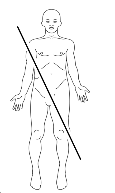 <p>Identify plane region</p>