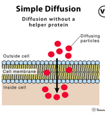 <p>Simple diffusion</p>