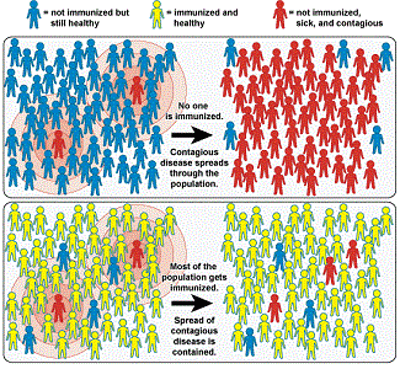 <p>•This refers to the percentage of the population that must be immune to achieve herd immunity to a specific agent.</p><p>•Even if a few members of the community become infected, the population as a whole is protected from an outbreak.</p>