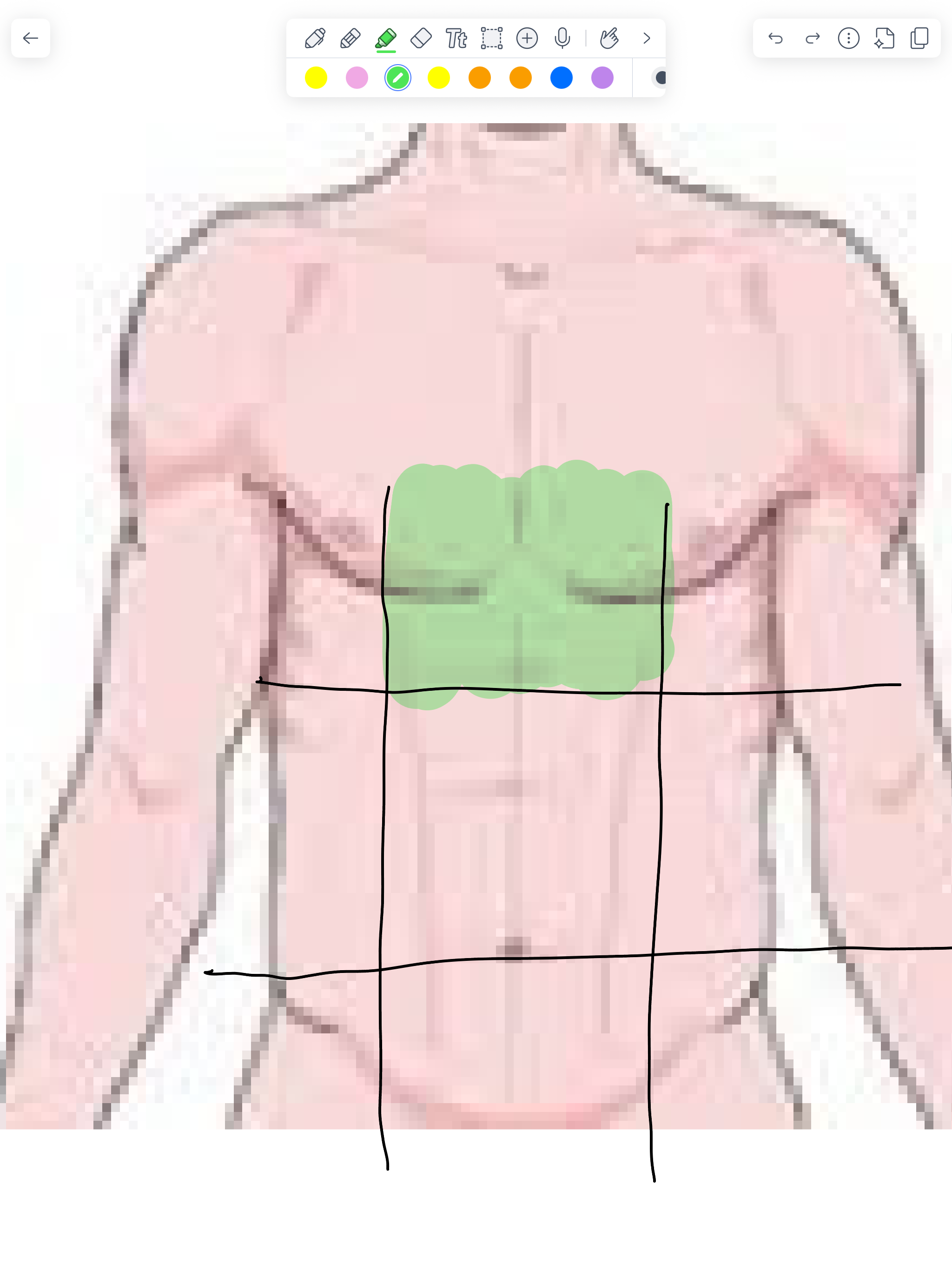 term image
