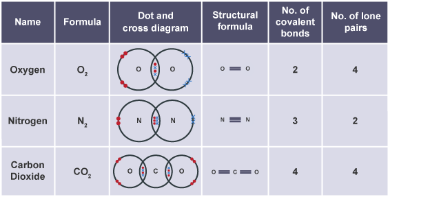 <p>bond which atoms share three pairs of electrons e.g nitrogen</p>
