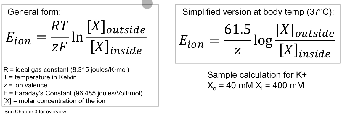<p>The membrane voltage at which an ion is at equilibrium where no net movement occurs, and if the membrane potential changes from this value, the driving force (net electrochemical gradient) causes the ion to flow into or out of the cell, depending on which gradient (electrical or concentration) is stronger.</p><p>Nernst equation:</p><p>In neurons, -70 mV where its actively maintained using dynamic equilibrium</p><ul><li><p>More + ions outside, with more - inside the plasma membrane</p></li><li><p>Na/K pump: maintains ionic gradients by active transport</p></li><li><p>Leaky channels: predominant determinant of RMP</p></li></ul><p>Active transport </p><p>Constitutively active channels that allow facilitated diffusion and leak based on gradients </p>