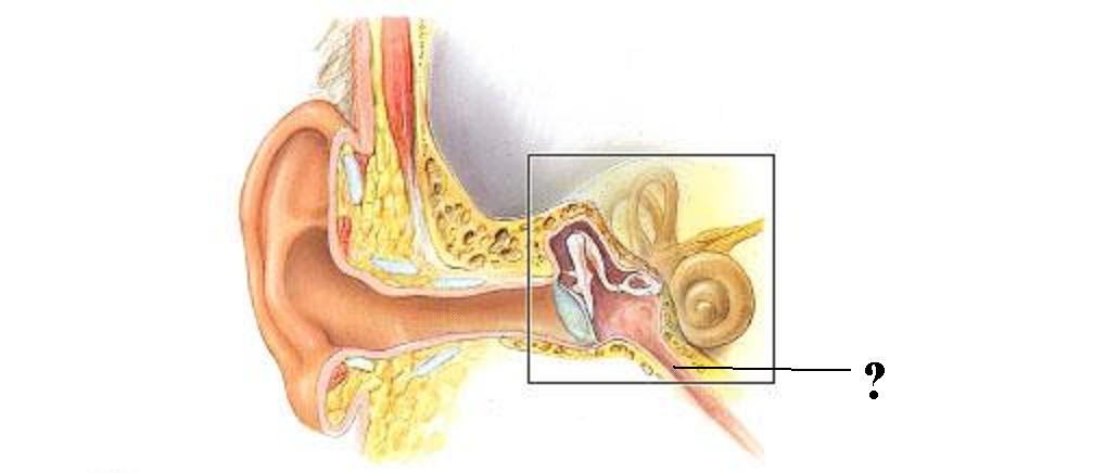 <p><span><span>Identify the indicated space</span></span></p>