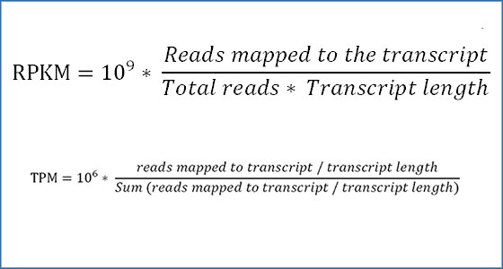 <p>Transcripts per million</p><p>First accounts for gene length and then library size.</p><p>Allows direct gene comparisons between samples.</p>