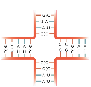 <p>What is this?</p>