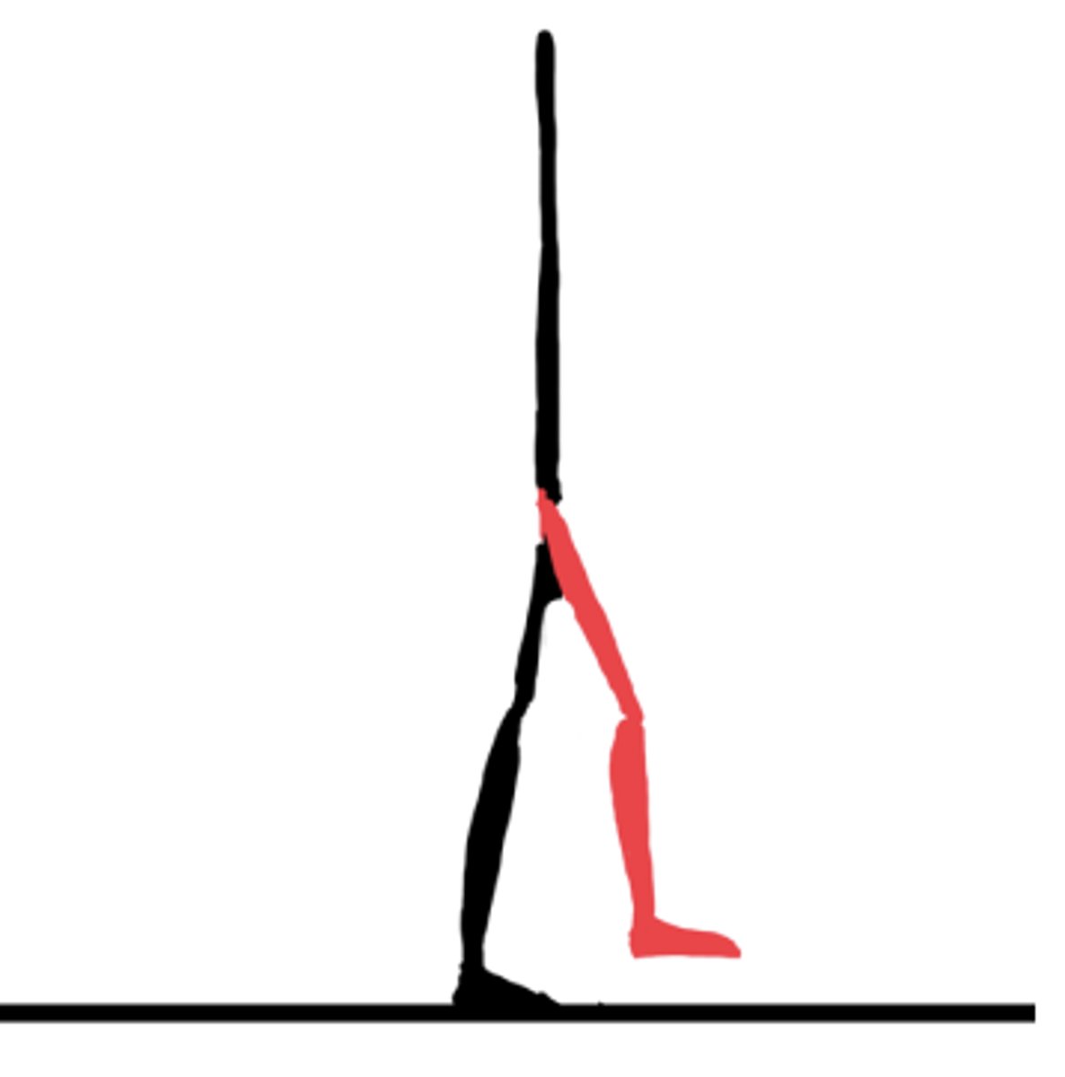 <p>75-87%</p><p>Begins when the foot is next to the opposite limb, and the knee begins to extend while the hip is flexed.</p><p>Important for clearance of the foot through swing limb advancement.</p>