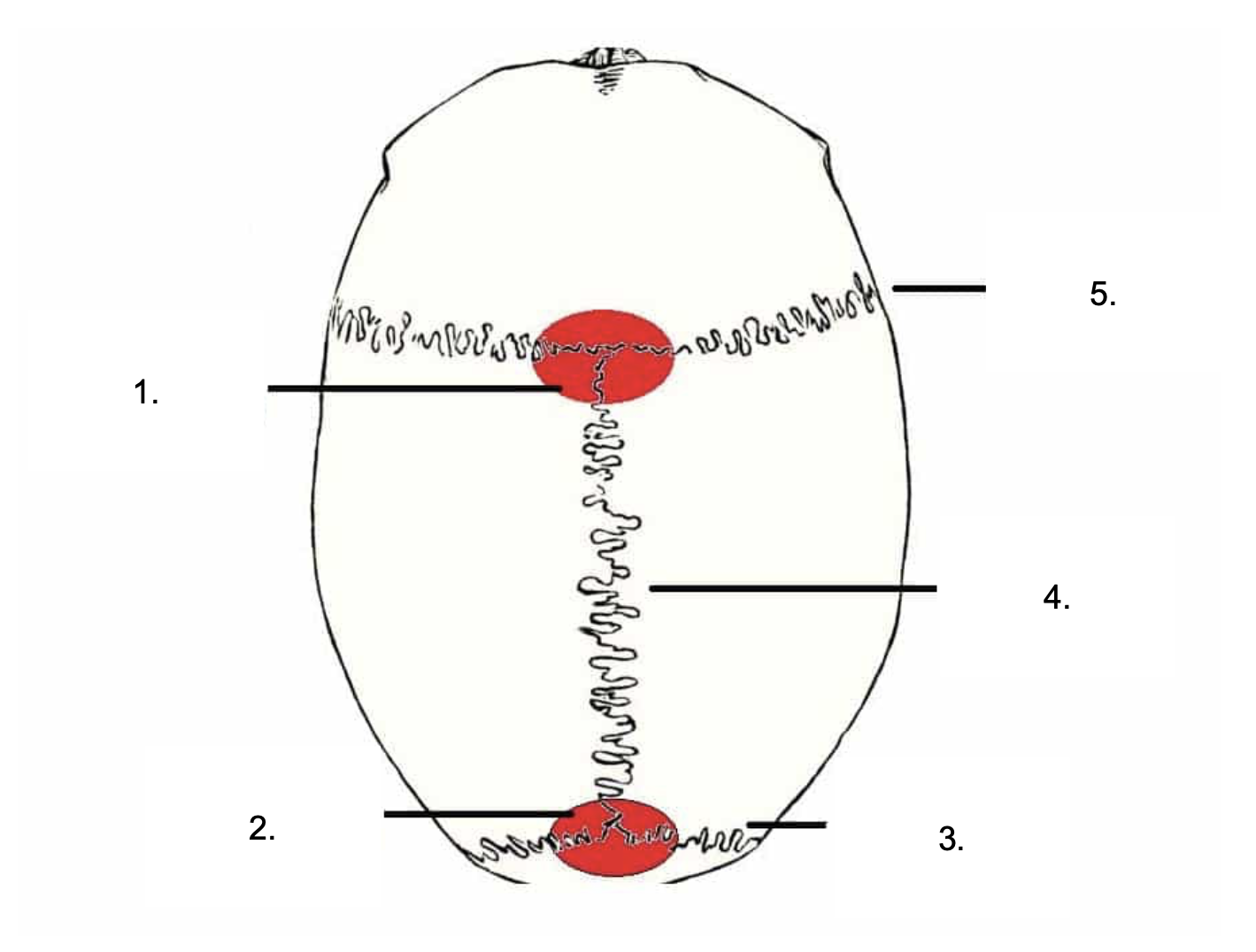 <p>What is 2?</p>