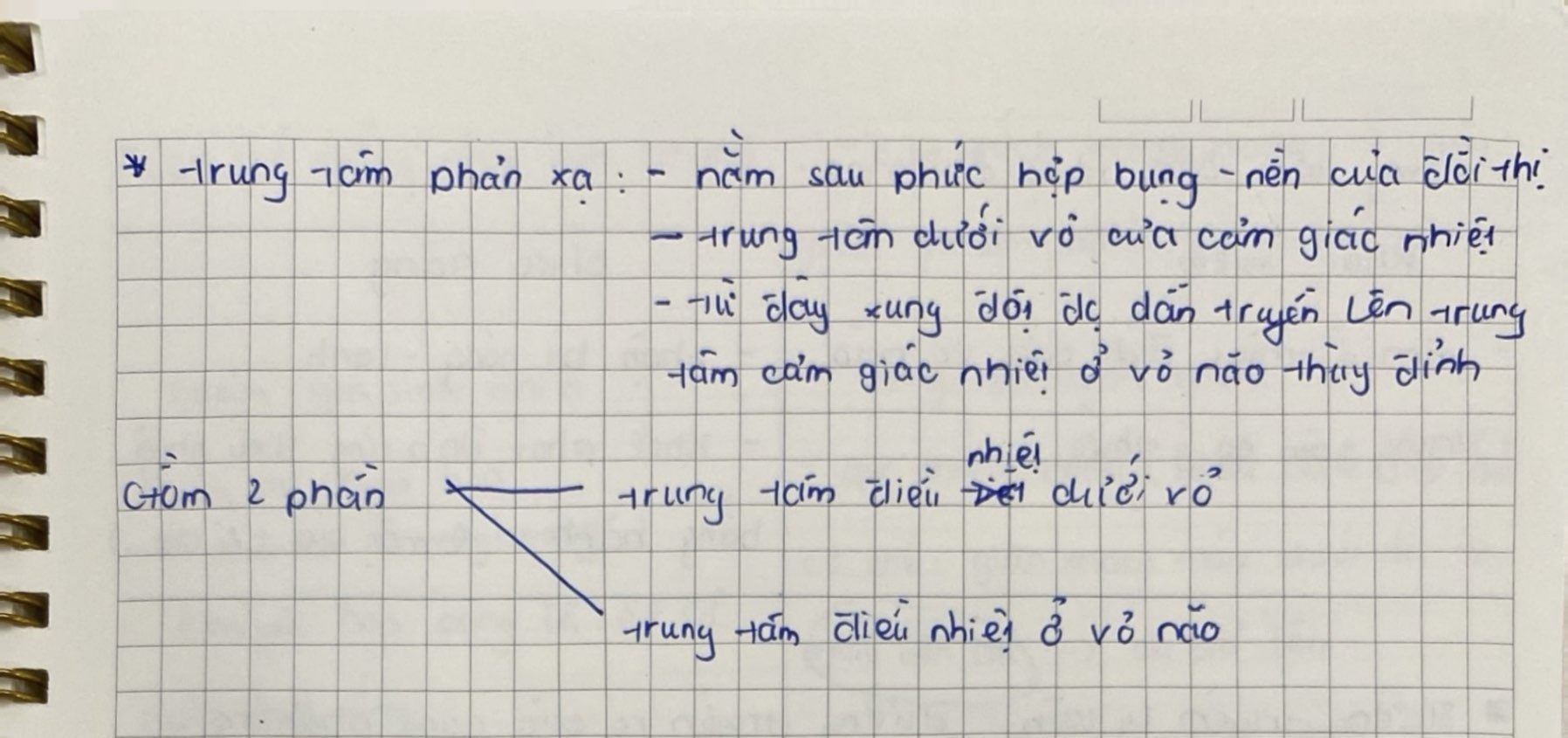 knowt flashcard image