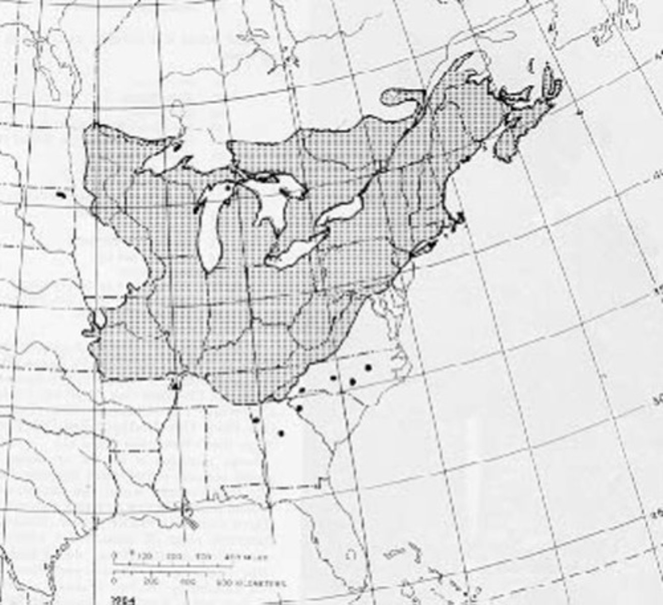 <p>What species is this?</p>