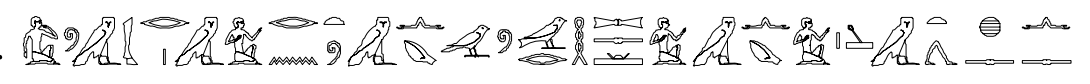 term image