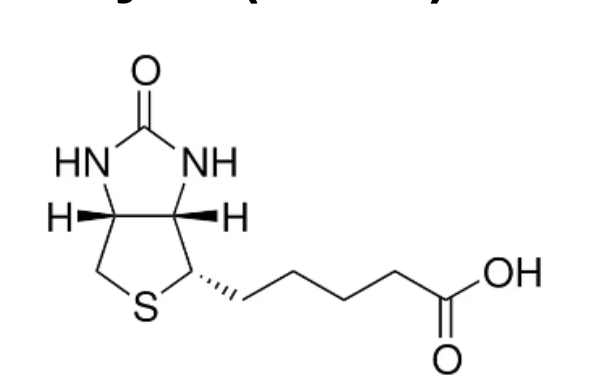 <p>CO<span>₂</span> activation using amine group</p>
