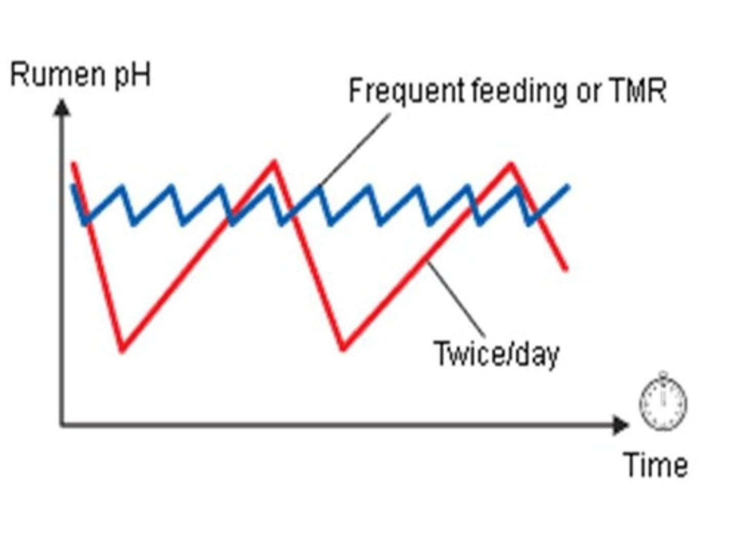 <p>Combined feed of forages and concentrates for cows.</p>