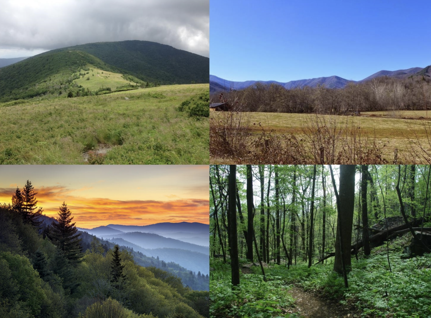 <p>extends from southern Pennsylvania to northern Georgia, varying from narrow ridges to hilly plateaus to more massive mountainous areas(with high peaks reaching over 6600 feet), annual precipitation of over 100 inches can occur in the wettest area while dry basins can average as little as 40 inches.</p>