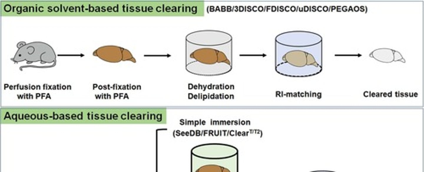 <p>Uses organic solvents to render samples transparent.</p>