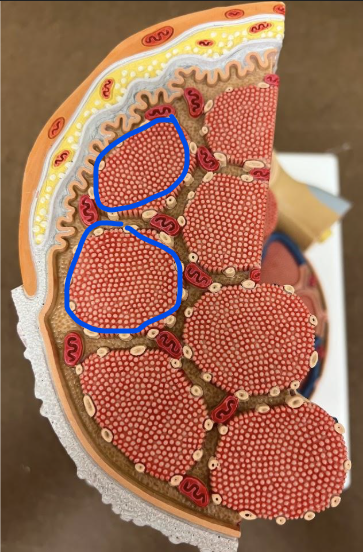 <p>What is this?</p>